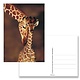 Carte postale, girafe