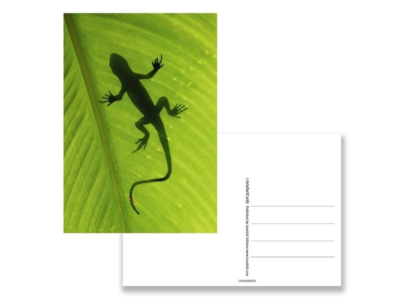 Postkarte, Eidechse