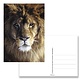 Postkarte, Löwenkopf