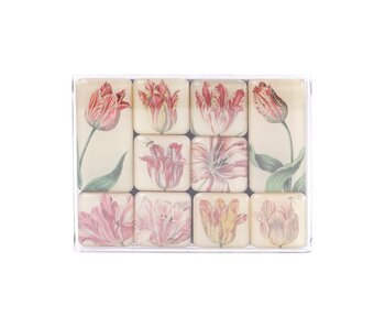 Mini Magnete Set, Tulpen, Marrel