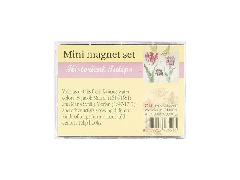Mini Magneten Set, Tulpen