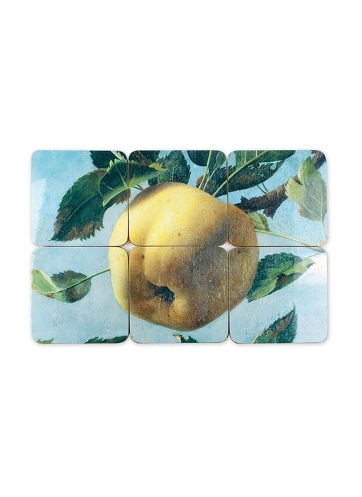 Posavasos, manzana, Koch