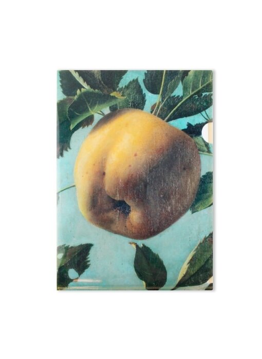 File Sheet, A4, Apple, Koch