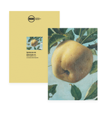 Cuaderno, manzana, cocinero Cuaderno, manzana, cocinero