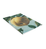 Cuaderno, manzana, cocinero Cuaderno, manzana, cocinero