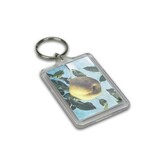 Keyring C, Classic, RT, Museum More, Pyke Koch, Apple