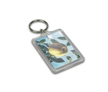 Keyring, Classic, RT, Museum More, Apple, Koch