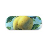 Estuche de gafas, Manzana, Pyke Koch