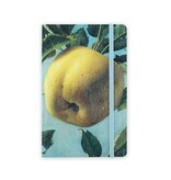 Cuaderno de tapa blanda, Apple, Koch Cuaderno de tapa blanda, Apple, Koch