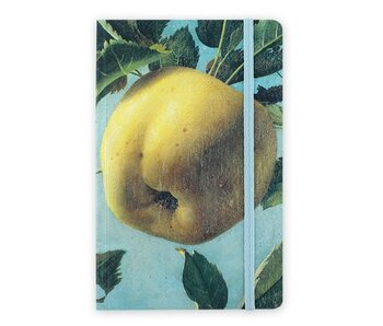 Softcover Book, Apple, Koch