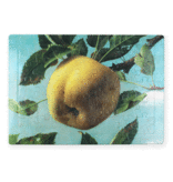 Rompecabezas, Manzana, Koch