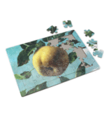 Puzzle, Pomme, Koch