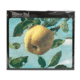 Tapis de souris, Apple, Koch
