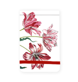 Pocket Note A7, Tres tulipanes, Merian
