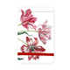 Pocket Note A7, Tres tulipanes, Merian
