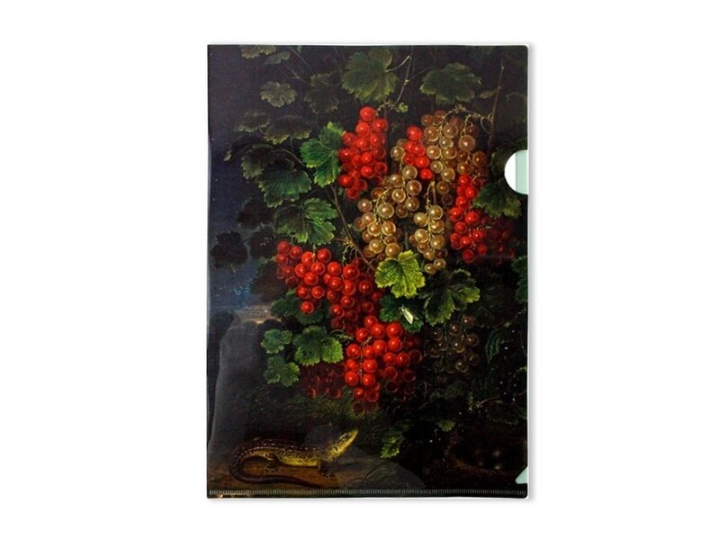 File Sheet Sc,hlesinger, Red Currants