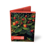 Kaartenmapje ,Schlesinger , 2x5 ontwerpen
