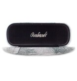 Funda de gafas, Autorretrato con aspecto asombroso, Rembrandt