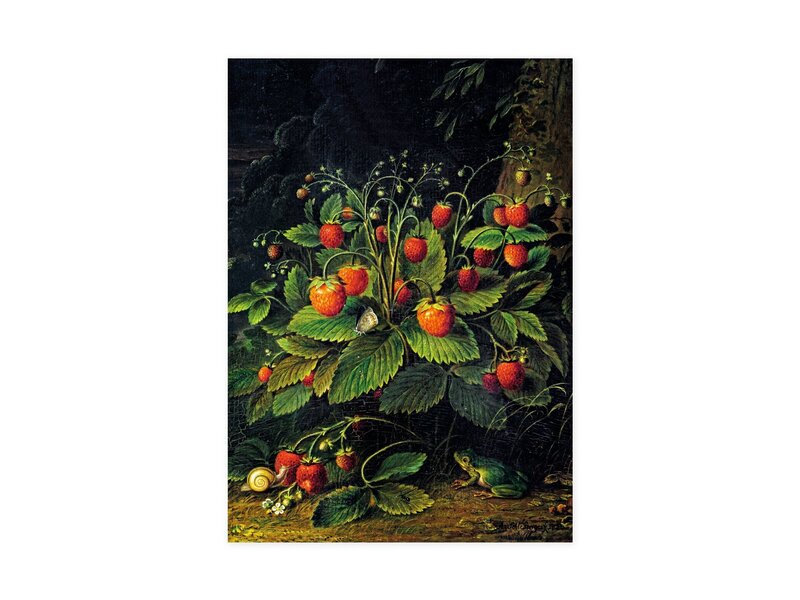 Torchon, Schlesinger, Fraises