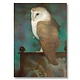 Poster, 50 x 70 , Grote uil op scherm, Jan Mankes
