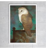 Poster, 50 x 70, Große Eule auf dem schirm, Jan Mankes