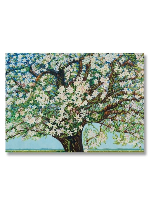 Affiche, 50 x 70, Beemster, arbre en fleurs, Toorop