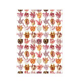 Torchon, Tulipes, Marrel