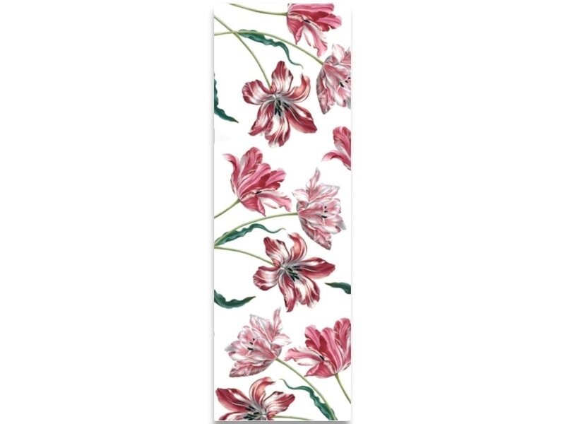 Bufanda, Merian, Tres Tulipanes