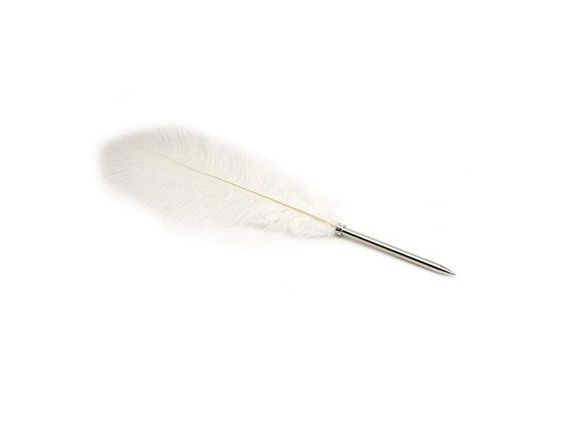 Pluma Avestruz Blanco
