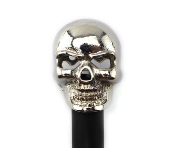 Lápiz negro, calavera plateada