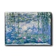 Imán de nevera XL, nenúfares, Monet