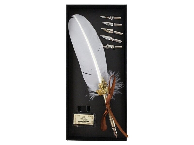 Conjunto de bolígrafo de pluma de tinta, pluma blanca, caja negra