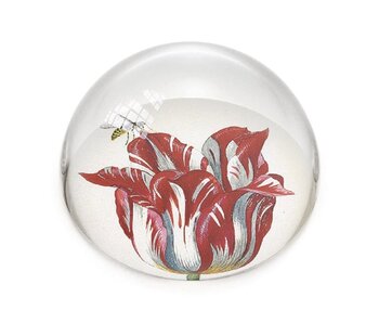 Glaskuppeln Briefbeschwerer, Tulpen Marrel