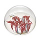 Glass Dome , Tulip Marrel RIJKSMUSEUM
