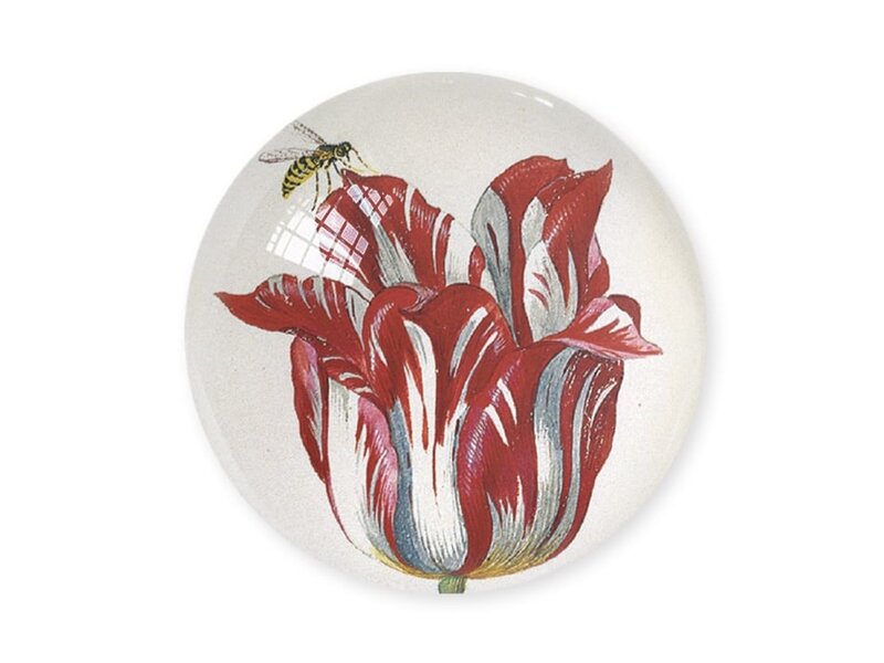 Glaskuppeln Briefbeschwerer, Tulpen Marrel, Rijksmuseum