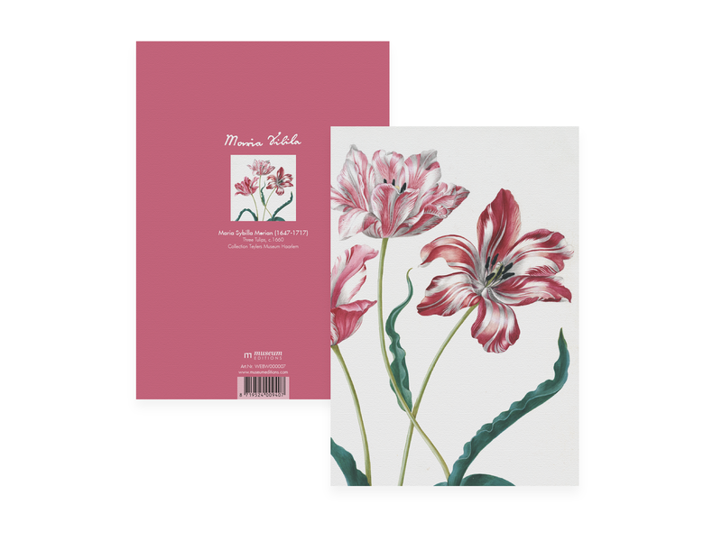 Schrift , A5 , Merian , Drie tulpen