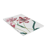 Schriftstelle, A5, Merian, Drei Tulpen