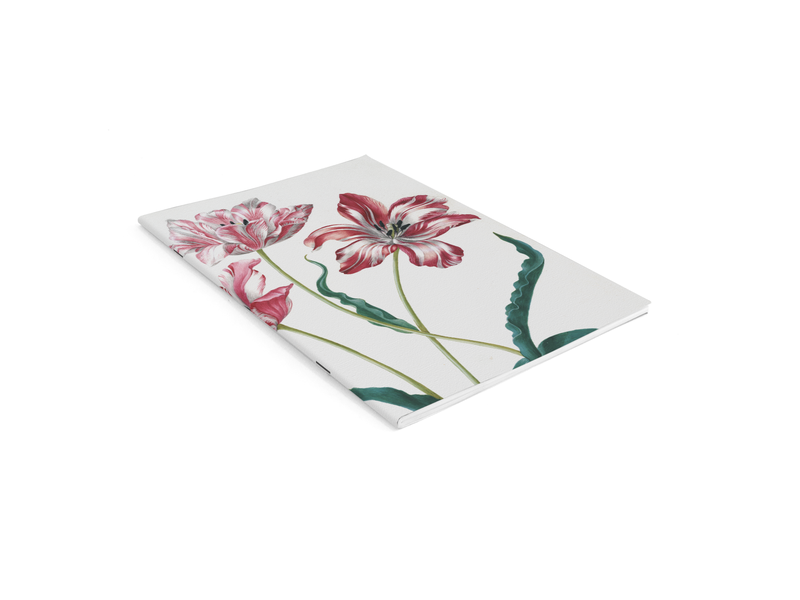 Schrift , A5 , Merian , Drie tulpen