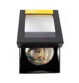 Glass Dome, Vermeer, The Lacemaker Glass Dome, Vermeer, The Lacemaker