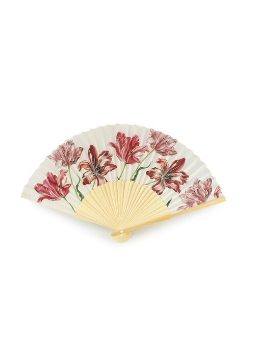 Waaier, Tulpen, Merian