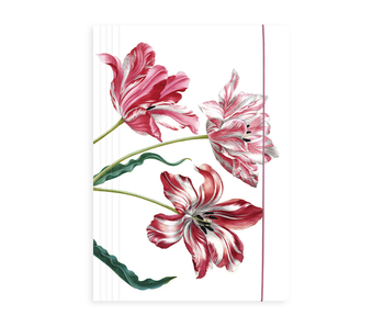 Documentenmap met elastiekje, Merian, Drie Tulpen