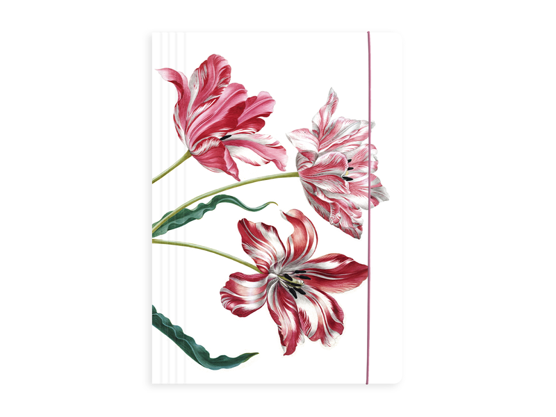 Dokumentenmappe mit Gummiband A4, Merian, Drei Tulpen