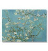 Poster 50x70, Almond blossom Van Gogh