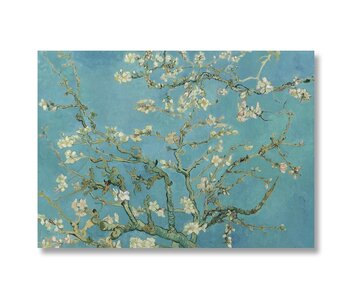 Poster 50x70, Amandelbloesem, Van Gogh