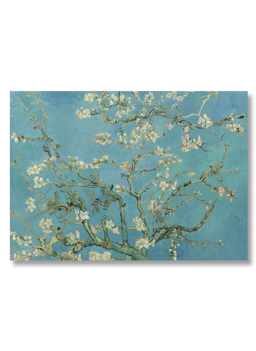 Poster 50x70, Amandelbloesem, Van Gogh