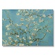 Poster 50x70, Almond blossom Van Gogh