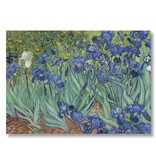 Poster, 50x70 Irissen Van Gogh