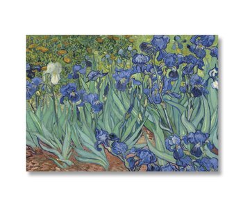 Poster, 50x70 Irissen Van Gogh