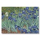 Poster, 50x70 Irissen Van Gogh