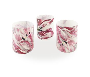 Kerzenschirm, Merian, Drei Tulpen